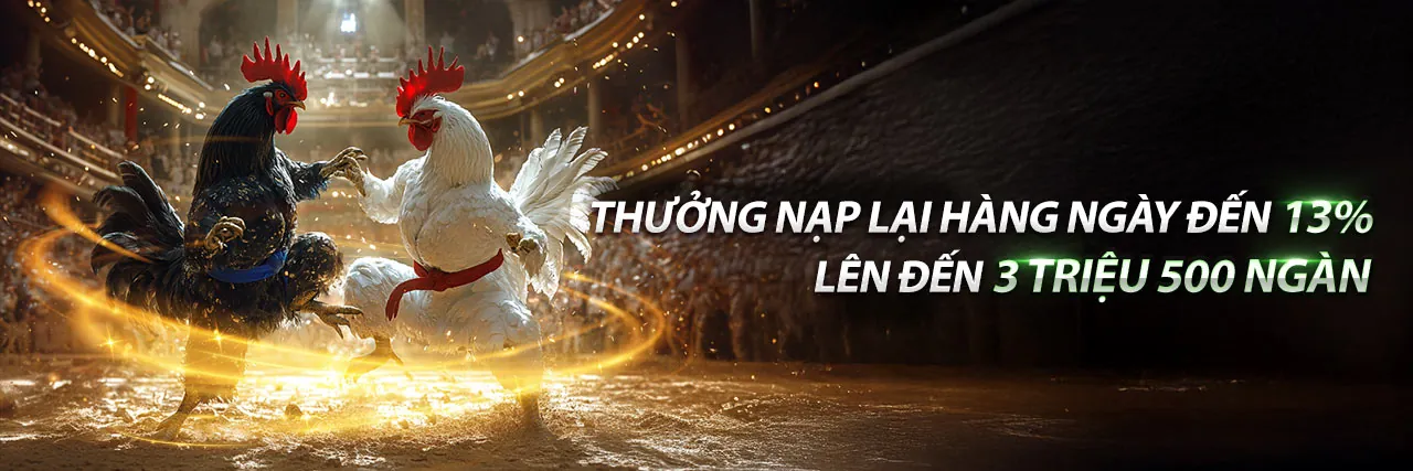 Đá Gà Trực Tuyến Hấp Dẫn tại kv888 apk